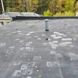 1 (10)